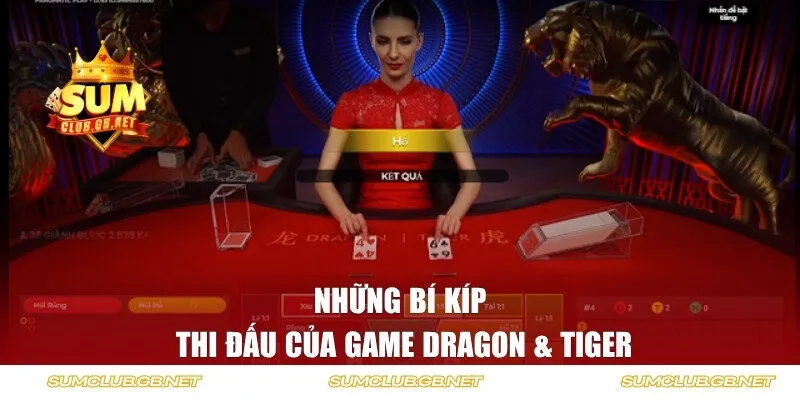 Những bí kíp thi đấu nâng cao của game Dragon & Tiger